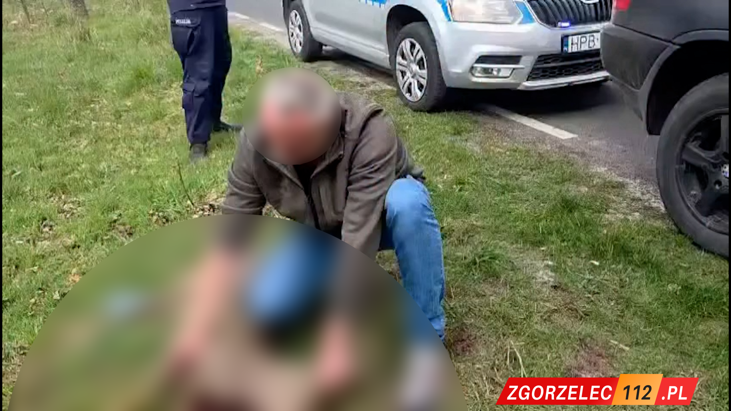 Szokujące zdarzenie pod Bolesławcem. Łukasz Litweka opublikował drastyczne nagranie [VIDEO]